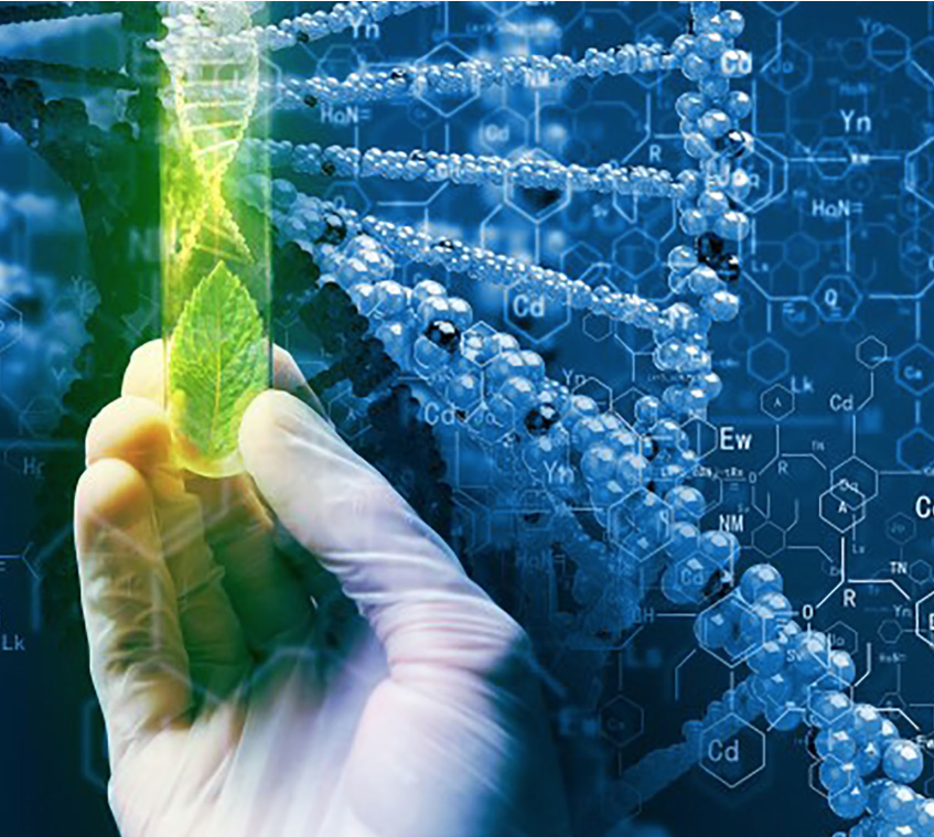 Enzimas - la clave de la biotecnología