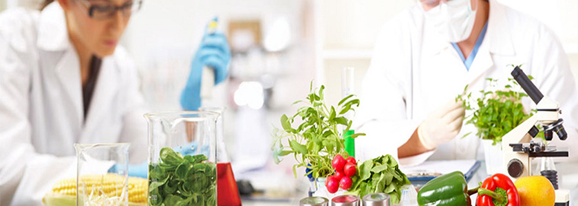 O papel dos aditivos na toxicologia dos alimentos