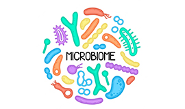 Microbioma: a próxima fronteira