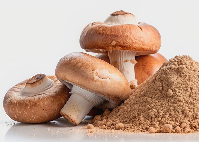 Ingredientes derivados de cogumelos oferecem sabor, textura e saúde