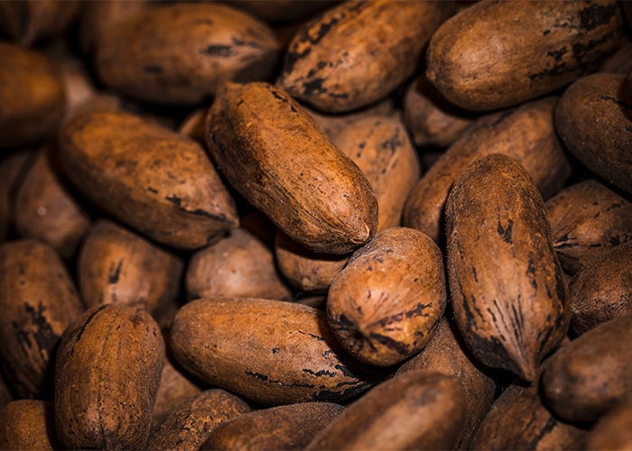 Cargill expande produção de cacau na Indonésia