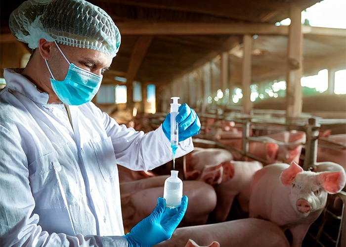 Desafios e tendências da segurança alimentar para produtos cárneos