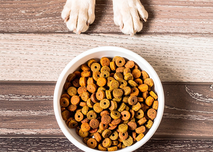 ADM muda produção de PET FOOD no Brasil como parte de reestruturação global