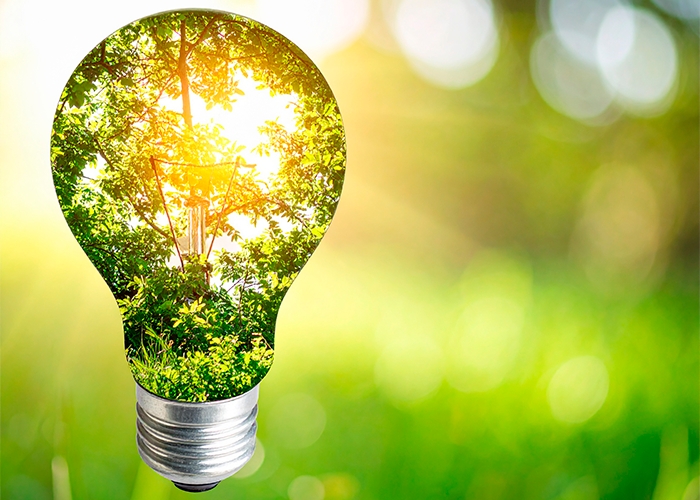 Cargill e Mars firmam parceria inédita de ENERGIA RENOVÁVEL