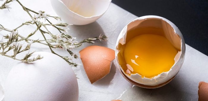 Onego Bio e Sigma Foods firmam parceria para inovação em PROTEÍNA DE OVO não animal
