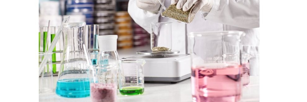 Conflitos no Oriente Médio trazem desafios para mercado de INGREDIENTES ALIMENTARES no Brasil
